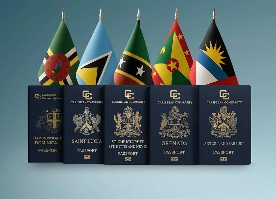 Citizenship Programs